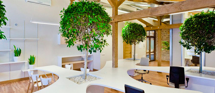 Arquitectura de oficina medioambientalmente sostenible