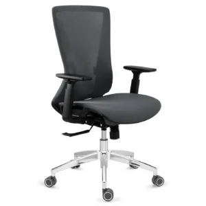 Silla ergonómica EVANS Gris