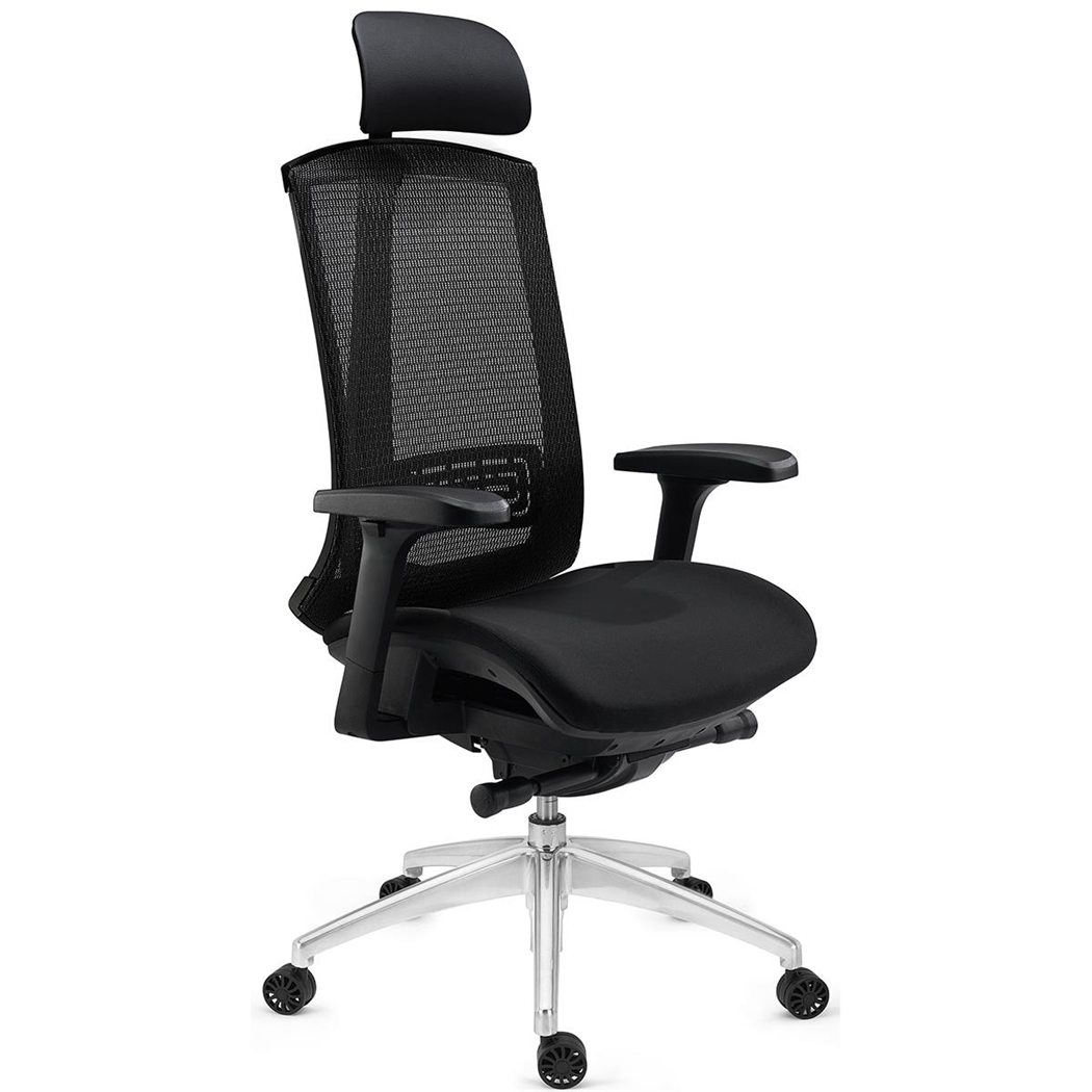 DEMO# Silla Ergonómica RAPTOR, Avanzado Diseño, Máxima Adaptabilidad, Uso Profesional, En Negro
