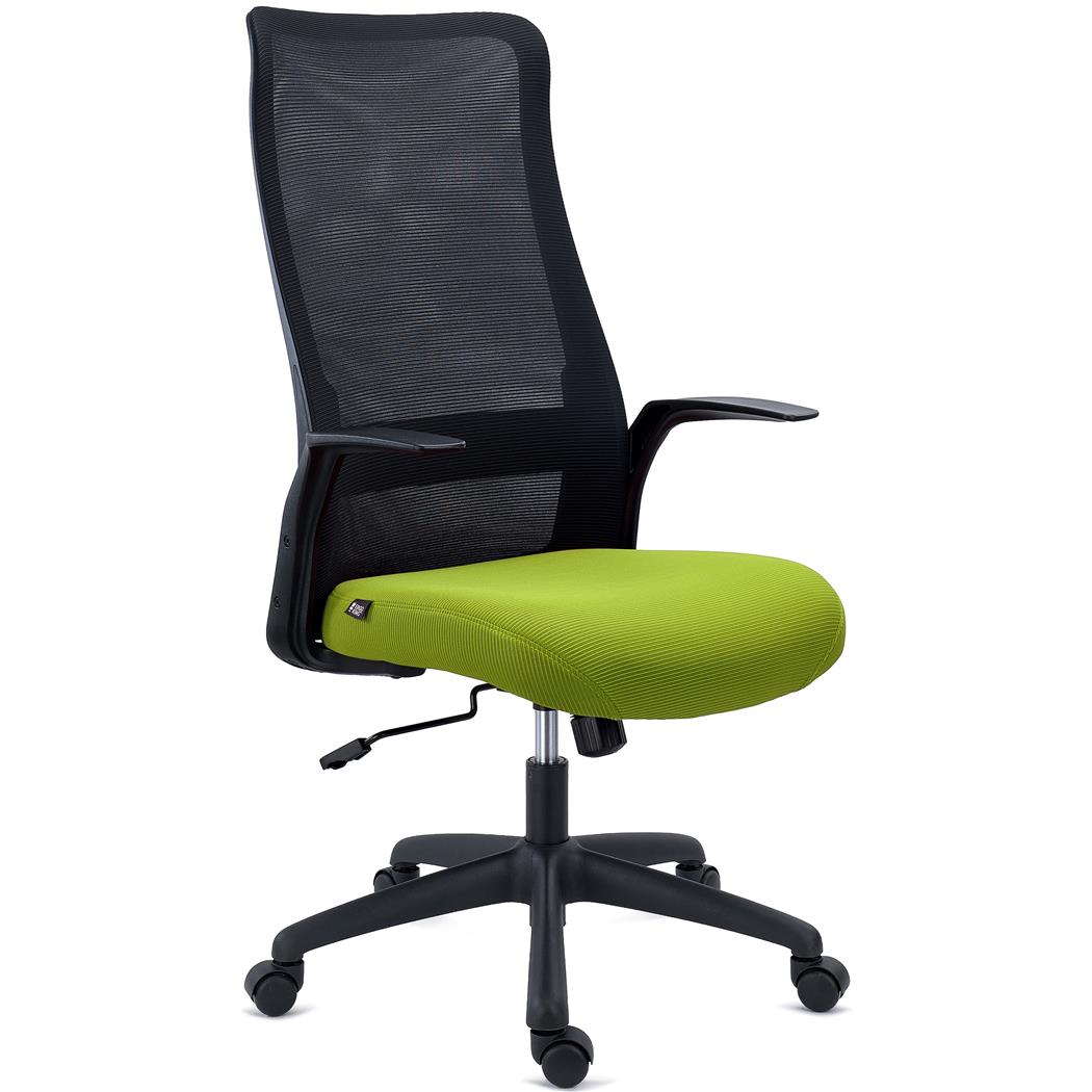 Silla de Oficina SIERRA, Respaldo Transpirable, Soporte Lumbar, Brazos de Diseño, En Verde