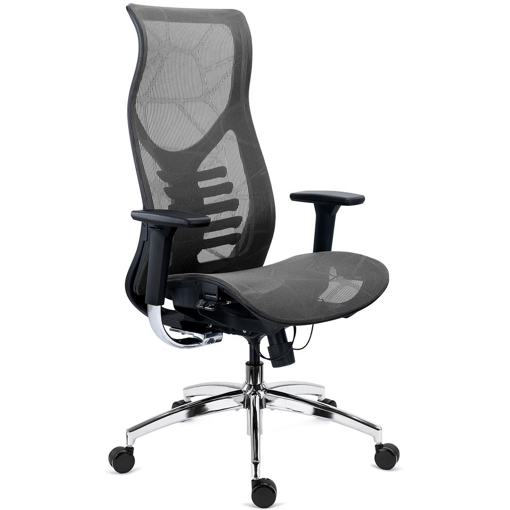 Silla Ergonómica VICTUS, Alto Respaldo con Soporte Lumbar, Asiento Deslizable, Diseño Exclusivo, Gris