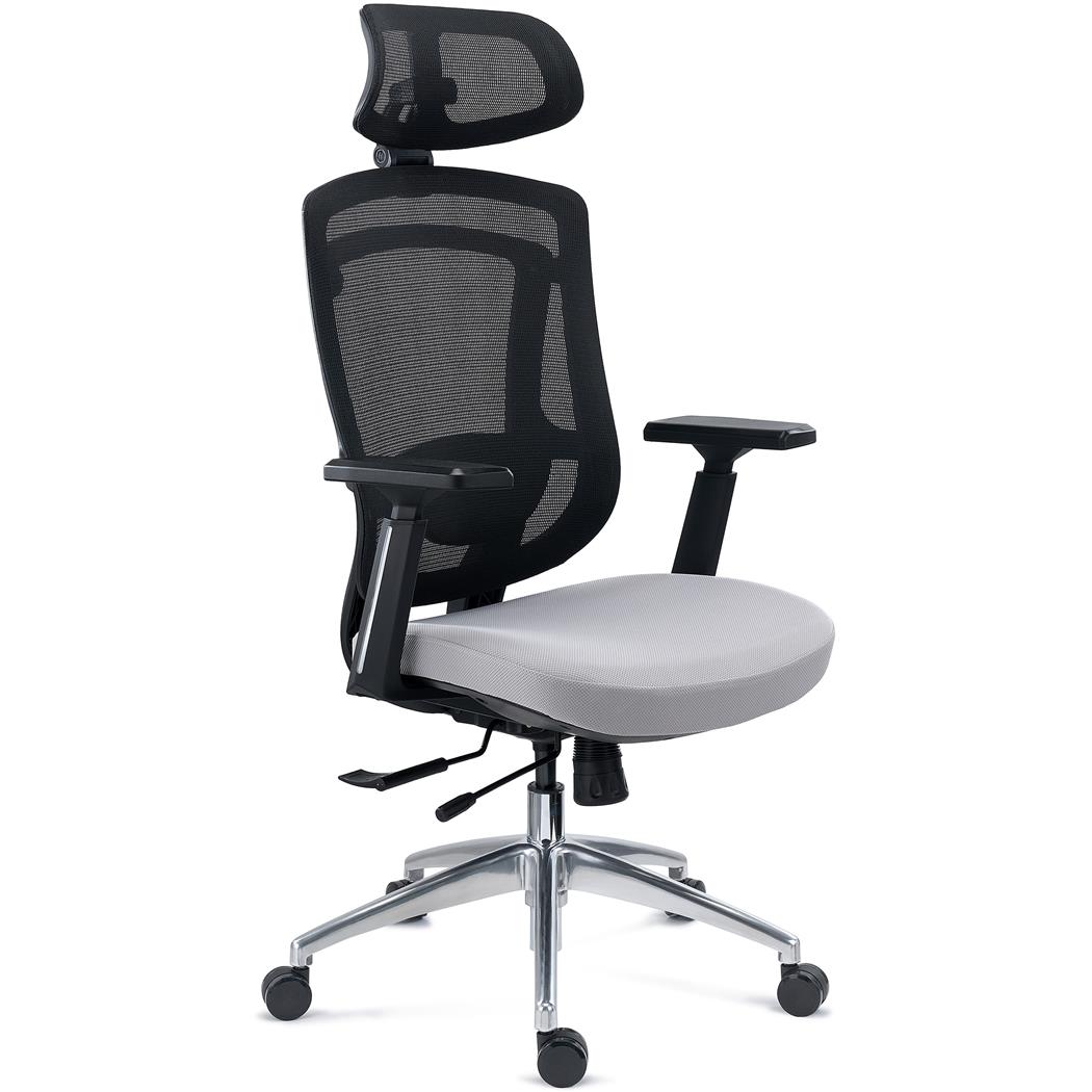 Silla Ergonómica ASTON, Soporte Lumbar 3D, Asiento Inyectado Deslizante, Uso Profesional 8H, Gris