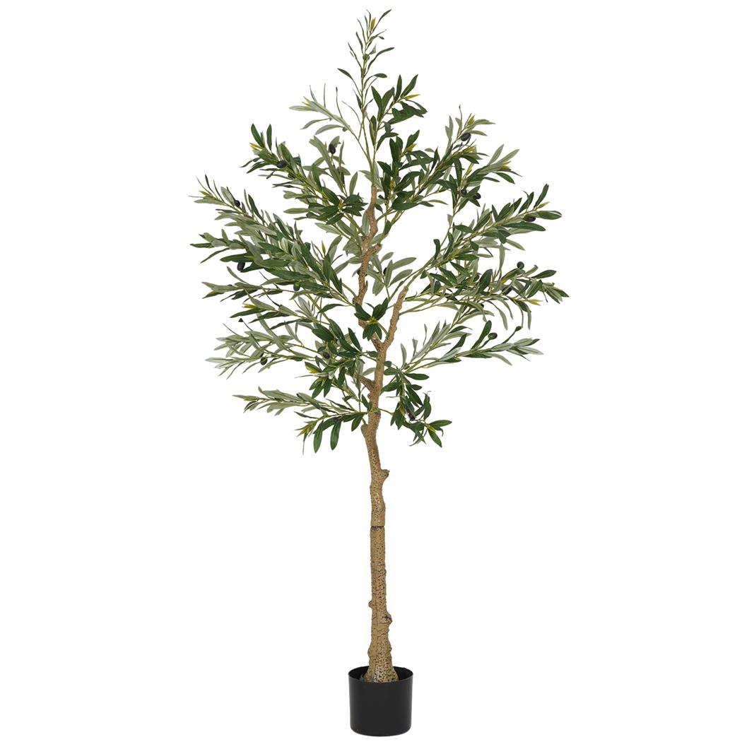 Planta de Oficina FOLI, Altura 150 cm, Olivo Artificial con Maceta Incluida