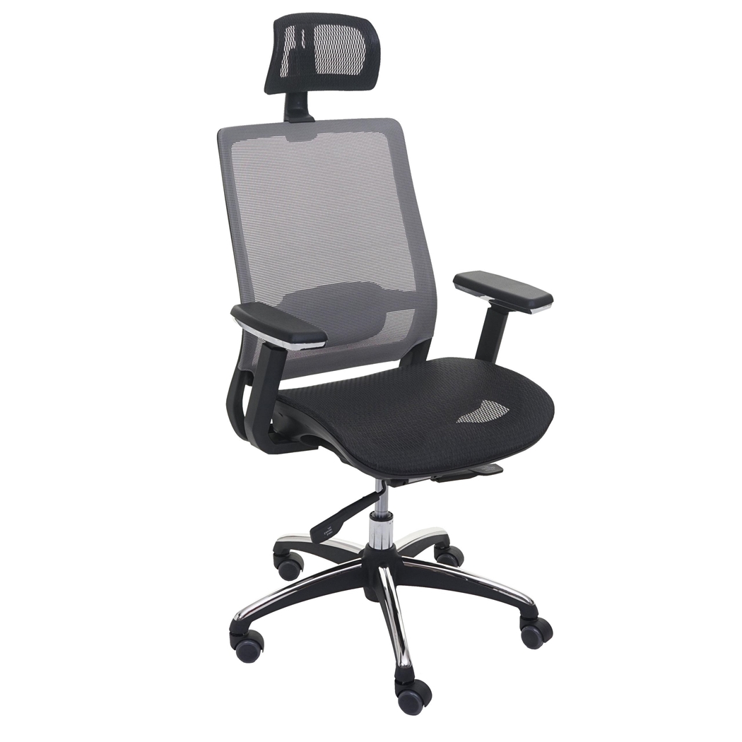 DEMO# Silla Ergonómica NUTAL, Totalmente Ajustable, Soporte Lumbar, en Color Negro/Gris