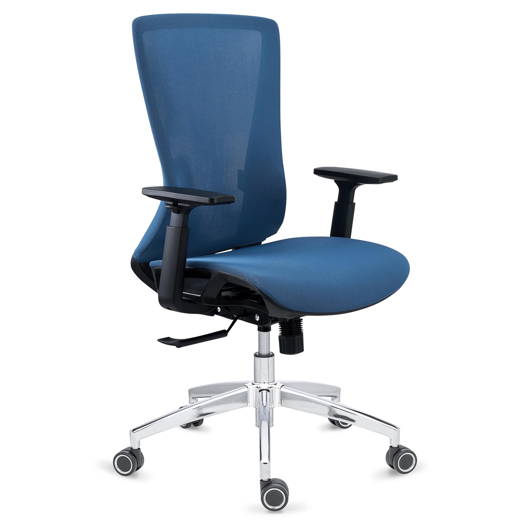 Silla Ergonómica EVANS, Uso Profesional 8H, Gran Diseño y Calidad, Base Metálica, En Azul