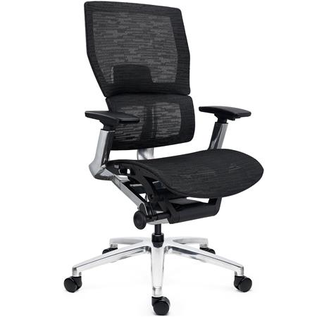 DEMO# Silla Ergonómica ERGOPLUS, Estructura Metal, Calidad Premium, Uso Profesional, Negro