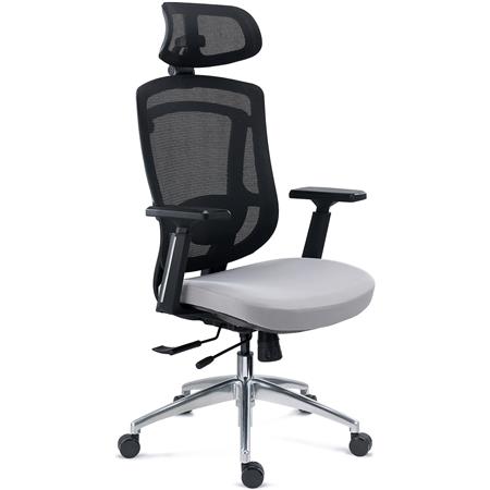 Silla Ergonómica ASTON, Soporte Lumbar 3D, Asiento Inyectado Deslizante, Uso Profesional 8H, Gris