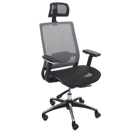 DEMO# Silla Ergonómica NUTAL, Totalmente Ajustable, Soporte Lumbar, en Color Negro/Gris