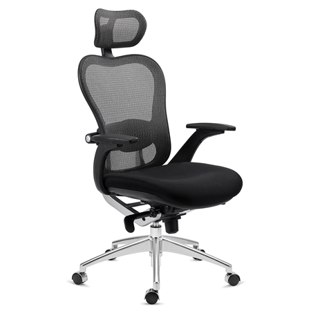 DEMO# Silla Ergonómica ROYAL, Uso 8 horas, Avanzado Soporte Lumbar, Exclusivo Diseño, Gris