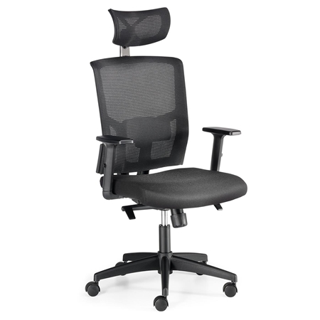 DEMO# Silla Ergonómica EYDA, con Reposacabezas, Soporte Lumbar, Uso 8h, en Negro